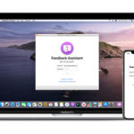 apple bug bounty